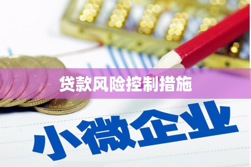 东昌贷款风险控制措施