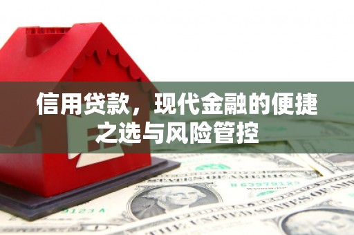 东昌信用贷款，现代金融的便捷之选与风险管控