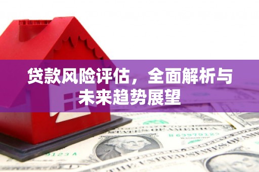 东昌贷款风险评估，全面解析与未来趋势展望