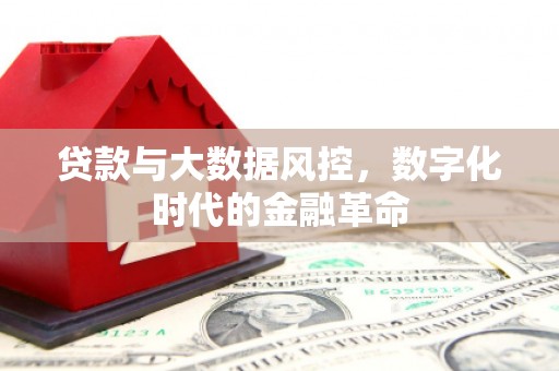 东昌贷款与大数据风控，数字化时代的金融革命