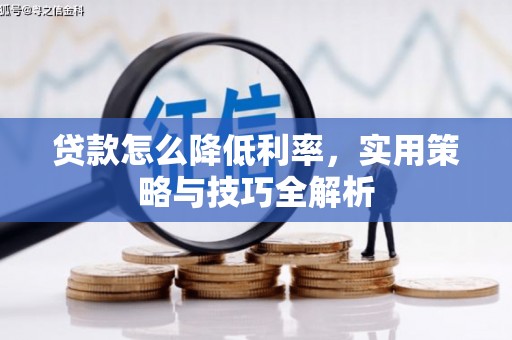 东昌贷款怎么降低利率，实用策略与技巧全解析