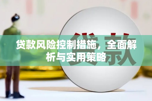 东昌贷款风险控制措施，全面解析与实用策略
