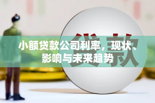 东昌小额贷款公司利率，现状、影响与未来趋势