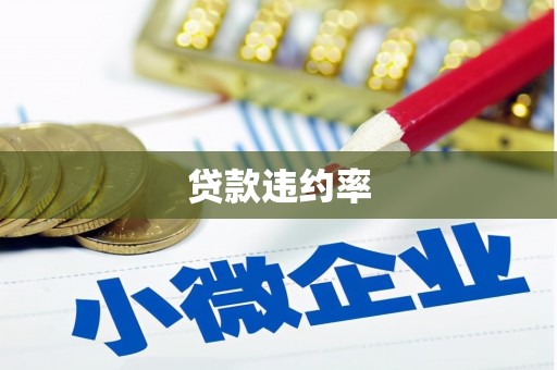 东昌贷款违约率