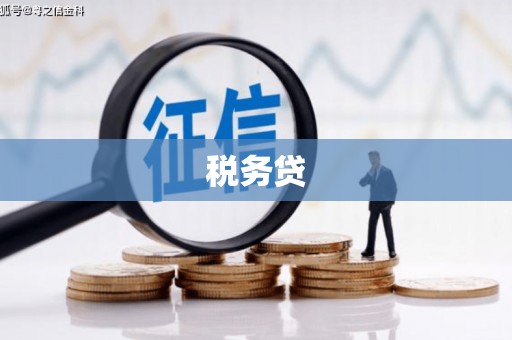 东昌税务贷