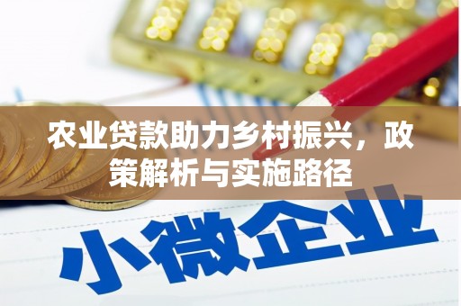 东昌农业贷款助力乡村振兴，政策解析与实施路径