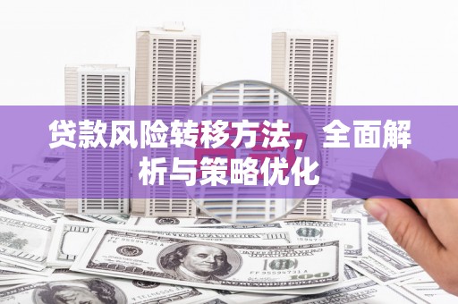 东昌贷款风险转移方法，全面解析与策略优化