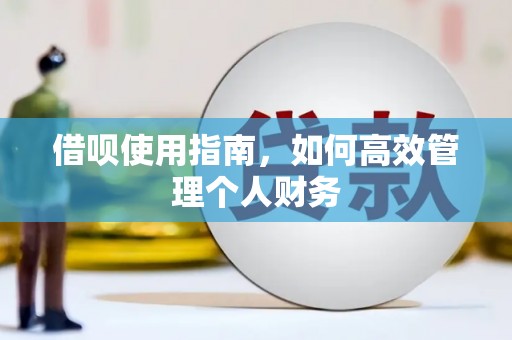 东昌借呗使用指南，如何高效管理个人财务