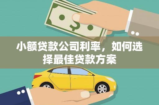 东昌小额贷款公司利率，如何选择最佳贷款方案
