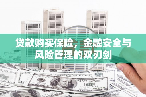 东昌贷款购买保险，金融安全与风险管理的双刃剑