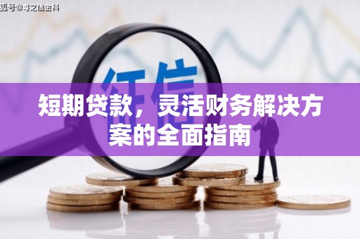 东昌短期贷款，灵活财务解决方案的全面指南