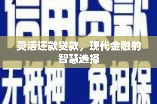 东昌灵活还款贷款，现代金融的智慧选择