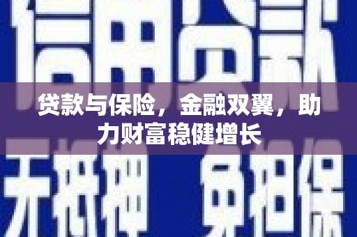 东昌贷款与保险，金融双翼，助力财富稳健增长