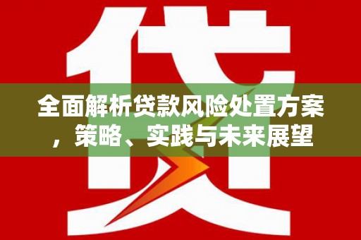东昌全面解析贷款风险处置方案，策略、实践与未来展望
