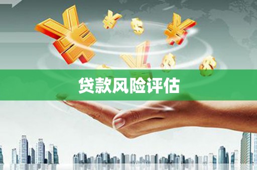 东昌贷款风险评估
