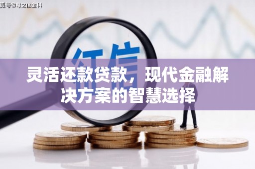 东昌灵活还款贷款，现代金融解决方案的智慧选择