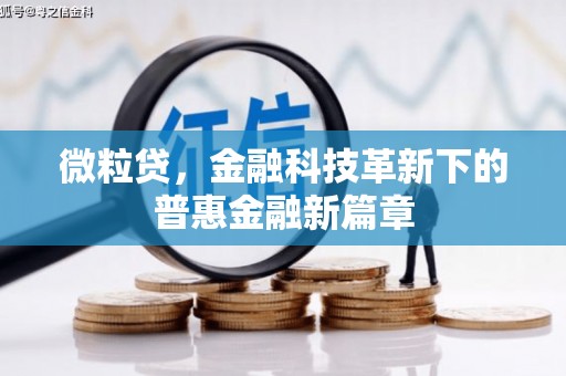 东昌微粒贷，金融科技革新下的普惠金融新篇章