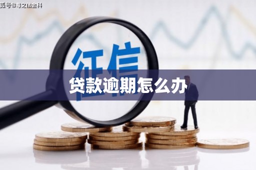 东昌贷款逾期怎么办