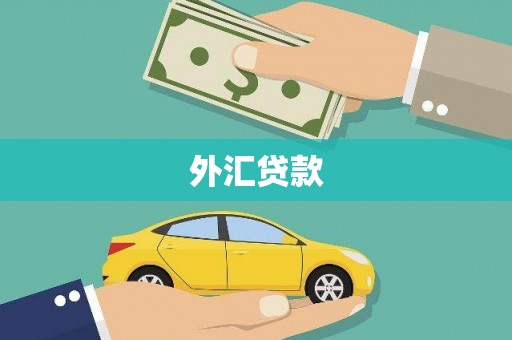 东昌外汇贷款