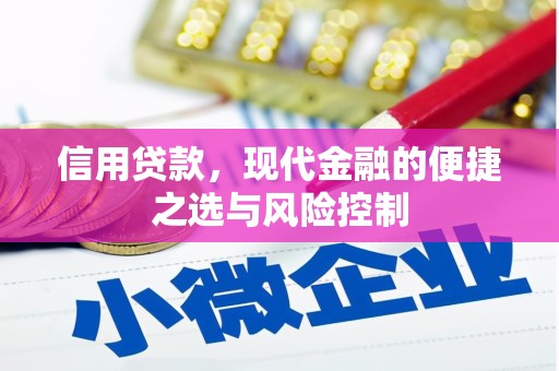 东昌信用贷款，现代金融的便捷之选与风险控制