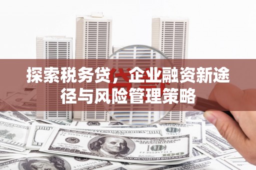 东昌探索税务贷，企业融资新途径与风险管理策略