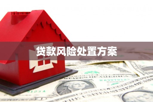 东昌贷款风险处置方案