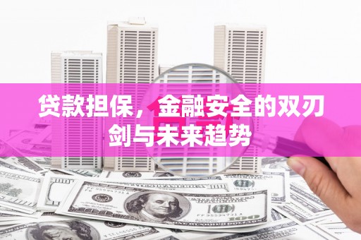 东昌贷款担保，金融安全的双刃剑与未来趋势