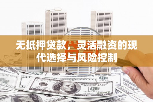 东昌无抵押贷款，灵活融资的现代选择与风险控制