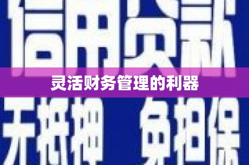 东昌灵活财务管理的利器