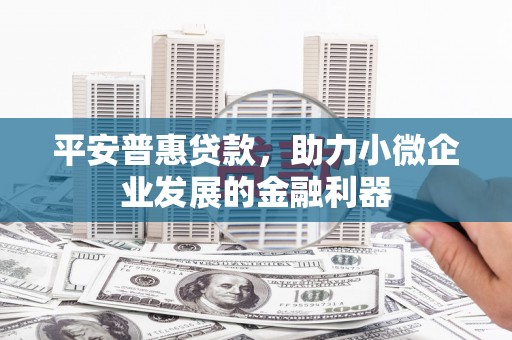 东昌平安普惠贷款，助力小微企业发展的金融利器