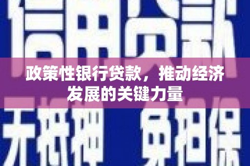东昌政策性银行贷款，推动经济发展的关键力量