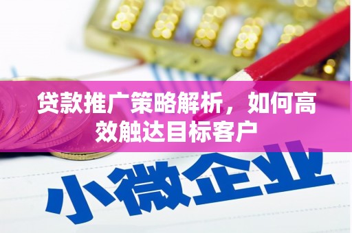 东昌贷款推广策略解析，如何高效触达目标客户