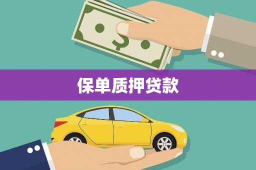 东昌保单质押贷款