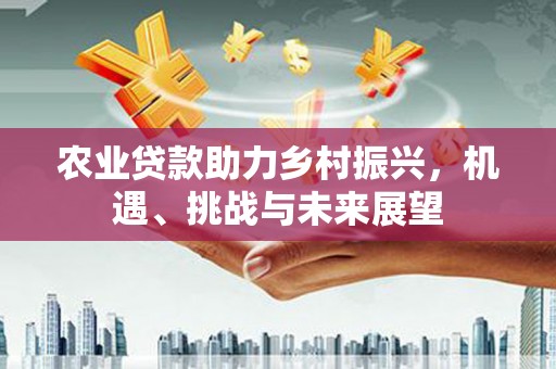 东昌农业贷款助力乡村振兴，机遇、挑战与未来展望