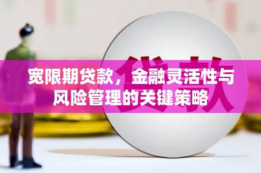 东昌宽限期贷款，金融灵活性与风险管理的关键策略