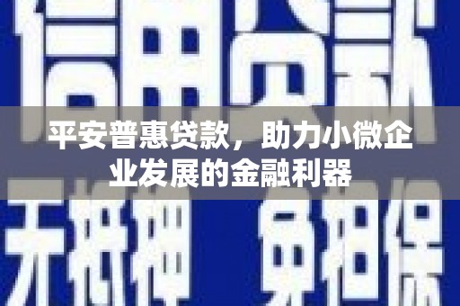 东昌平安普惠贷款，助力小微企业发展的金融利器