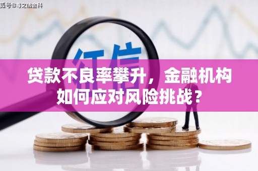 东昌贷款不良率攀升，金融机构如何应对风险挑战？