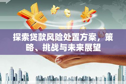 东昌探索贷款风险处置方案，策略、挑战与未来展望