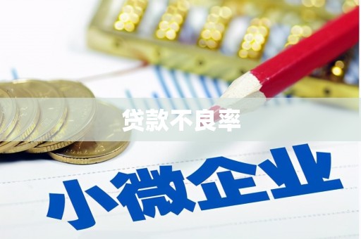 东昌贷款不良率