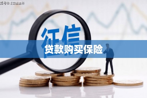 东昌贷款购买保险