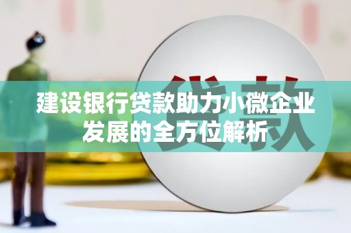 东昌建设银行贷款助力小微企业发展的全方位解析