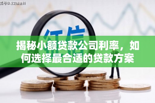 东昌揭秘小额贷款公司利率，如何选择最合适的贷款方案