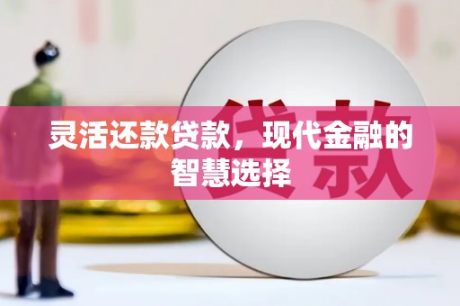 东昌灵活还款贷款，现代金融的智慧选择