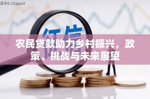 东昌农民贷款助力乡村振兴，政策、挑战与未来展望