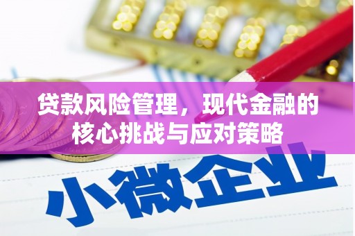东昌贷款风险管理，现代金融的核心挑战与应对策略