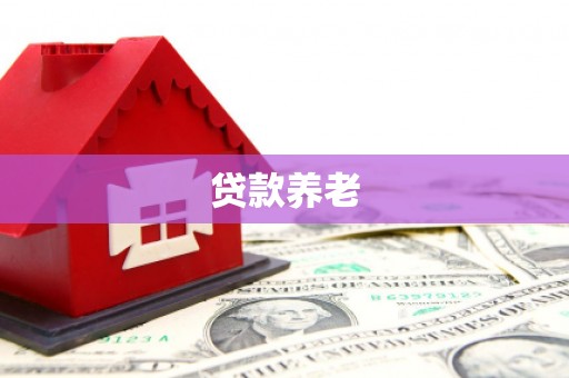 东昌贷款养老