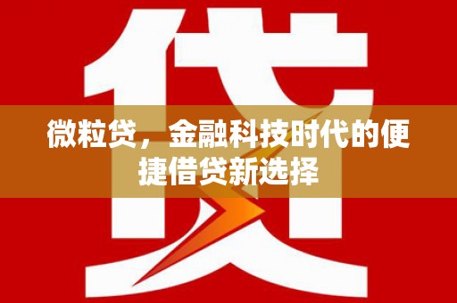 东昌微粒贷，金融科技时代的便捷借贷新选择