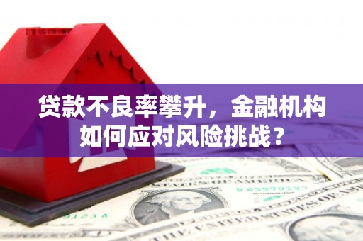 东昌贷款不良率攀升，金融机构如何应对风险挑战？