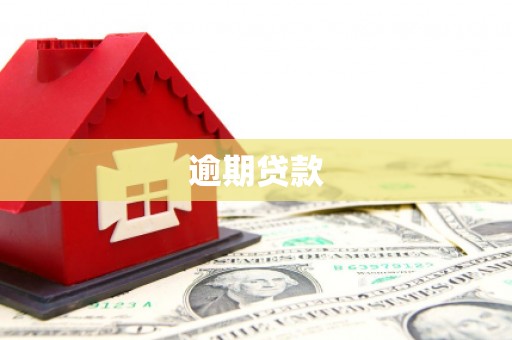 东昌逾期贷款