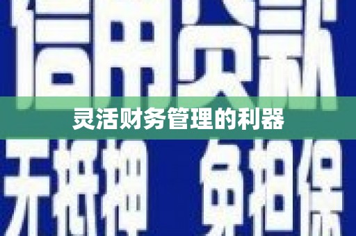 东昌灵活财务管理的利器